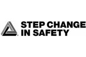 Step Change in Safety
